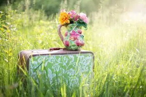 رفتار شناسی و راههای شناخت 